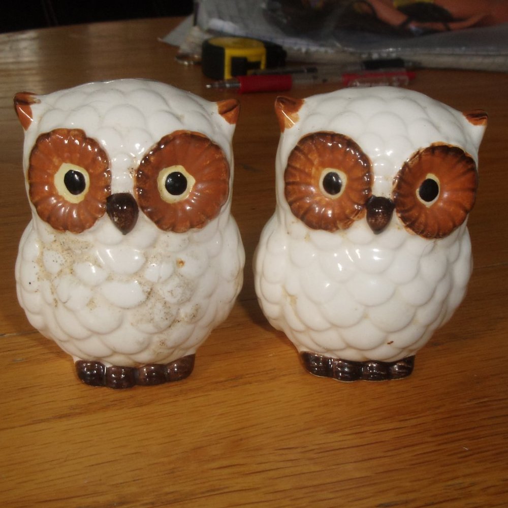 Norcrest salt pepper shakers big eyed owls birds
